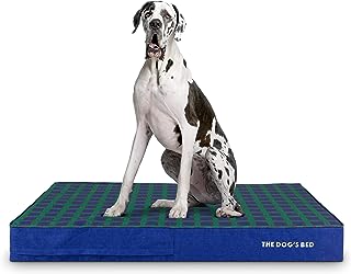 best large dog bed